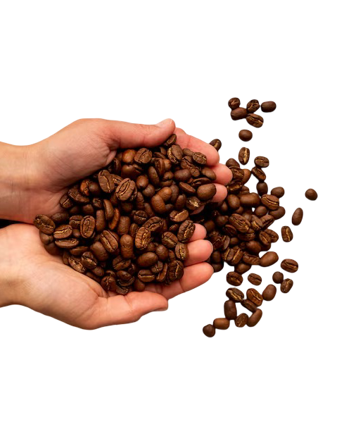 coffee-in-hand